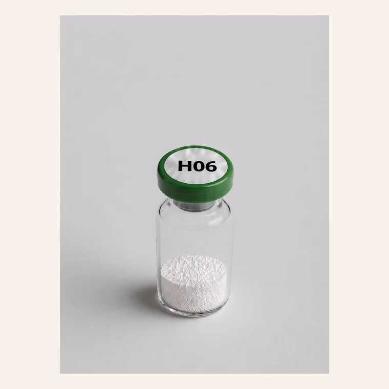 H06 research catalog item